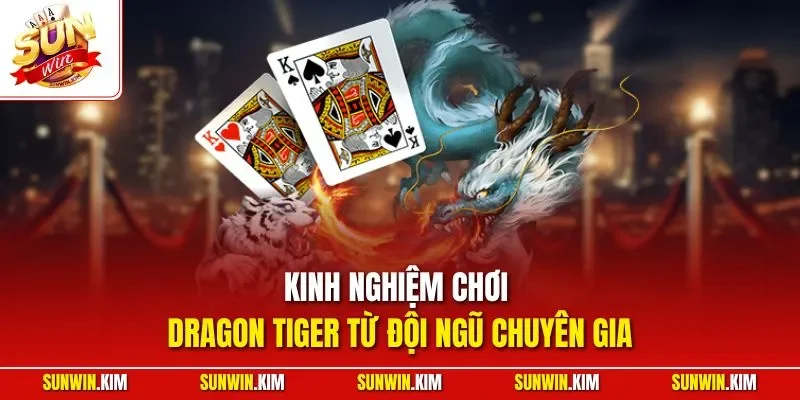 Kinh nghiệm chơi Dragon Tiger từ đội ngũ chuyên gia